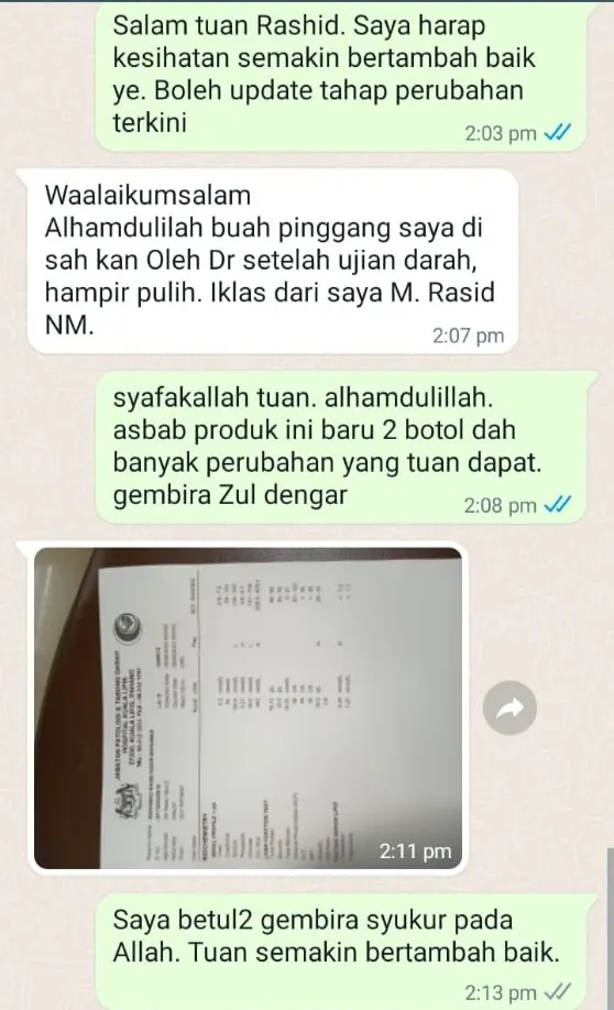 Testimoni WhatsApp: Buah Pinggang Hampir Pulih