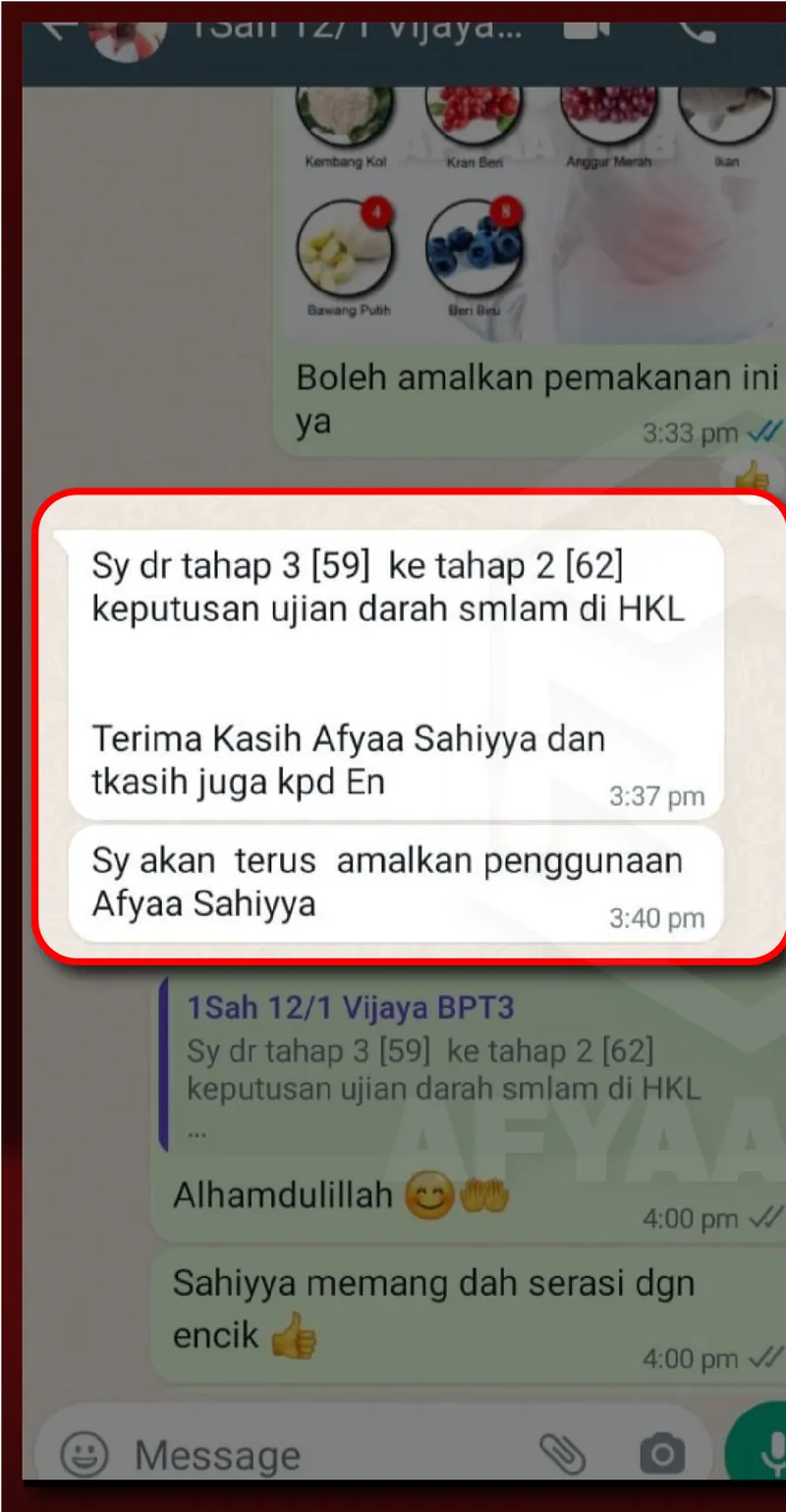 Testimoni WhatsApp: Tahap Buah Pinggang Menurun