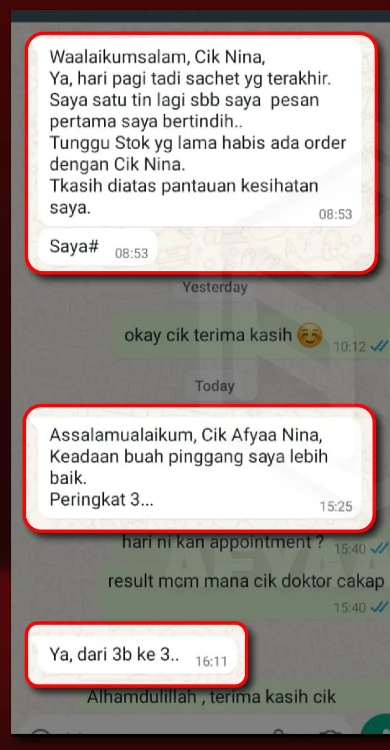 Testimoni WhatsApp: Buah pinggang dari tahap 3B ke tahap 3testimoni