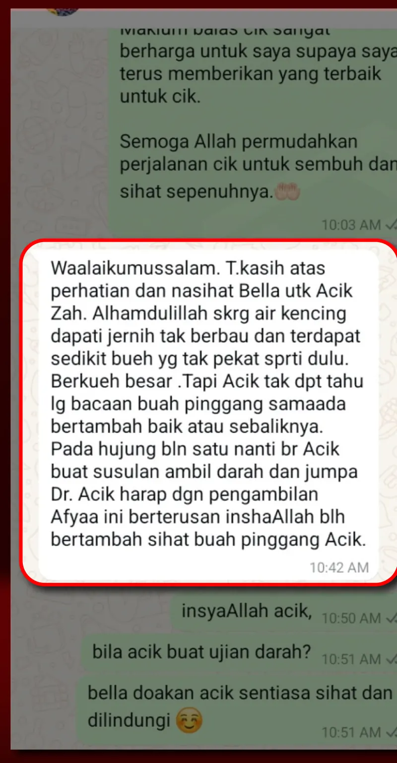 Testimoni WhatsApp: Whatsapp testimoni