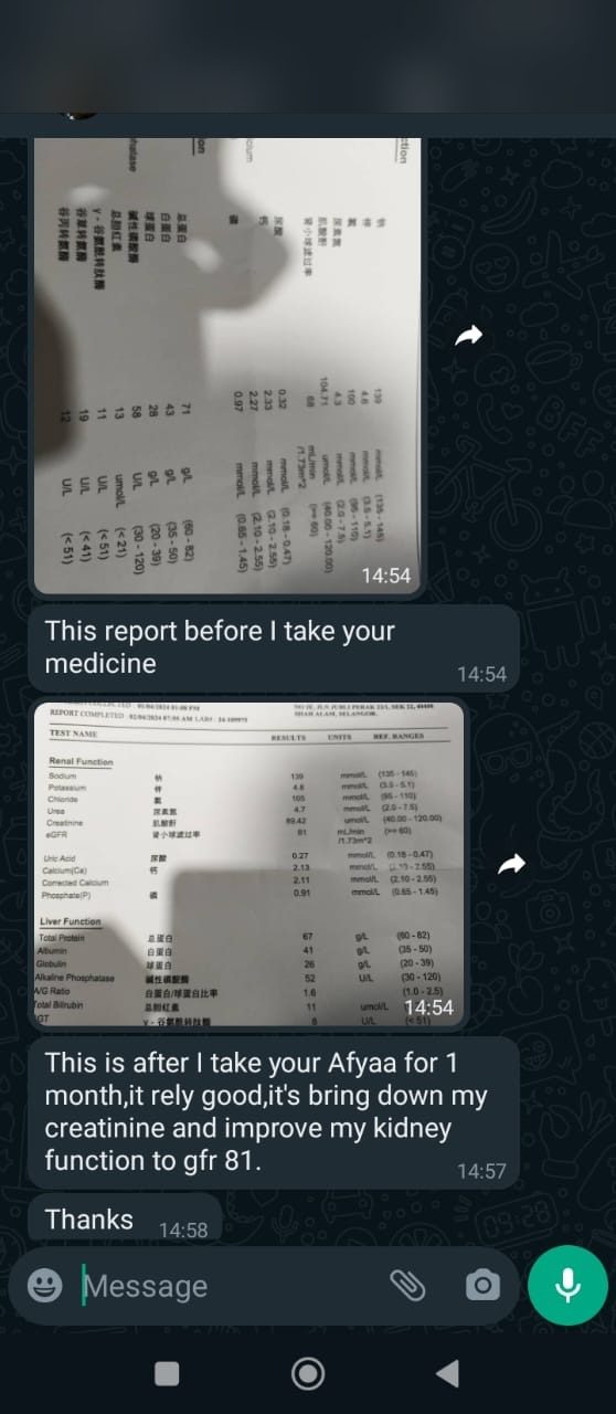 Testi WhatsApp Sahiyya+ tentang kreatinin dan fungsi buah pinggang